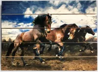 картина "кони в поле" 30*40 см на дереве ж002, пэм